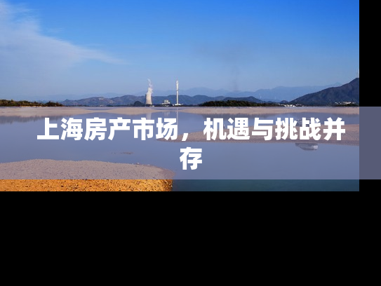上海房产市场，机遇与挑战并存