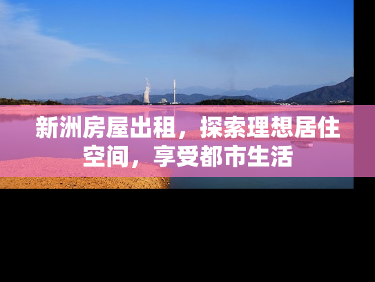 新洲房屋出租，探索理想居住空间，享受都市生活