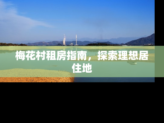 梅花村租房指南，探索理想居住地