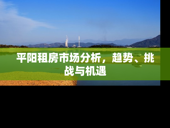 平阳租房市场分析，趋势、挑战与机遇