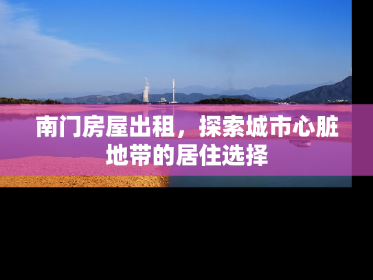 南门房屋出租，探索城市心脏地带的居住选择