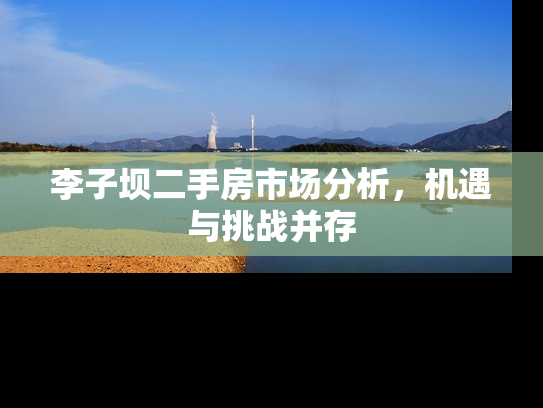 李子坝二手房市场分析，机遇与挑战并存