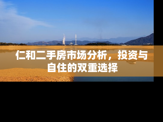 仁和二手房市场分析，投资与自住的双重选择