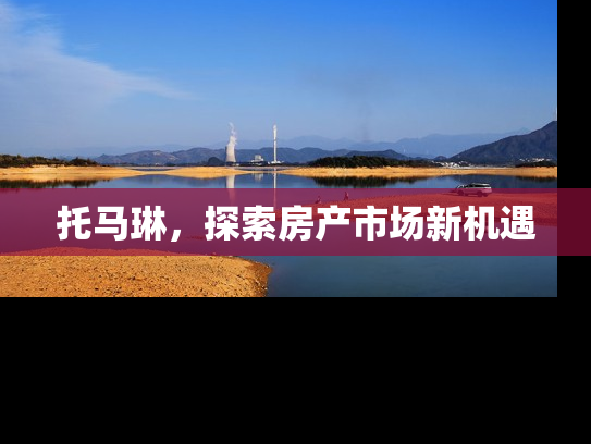 托马琳，探索房产市场新机遇