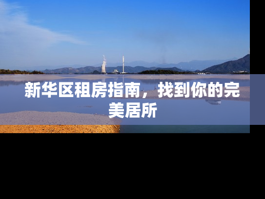 新华区租房指南，找到你的完美居所