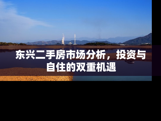 东兴二手房市场分析，投资与自住的双重机遇