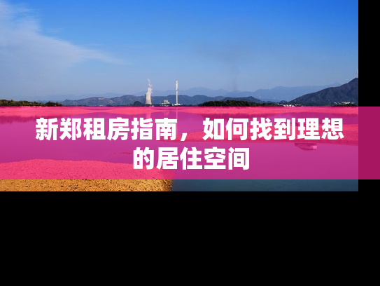 新郑租房指南，如何找到理想的居住空间
