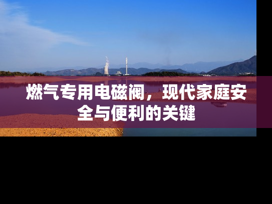燃气专用电磁阀，现代家庭安全与便利的关键