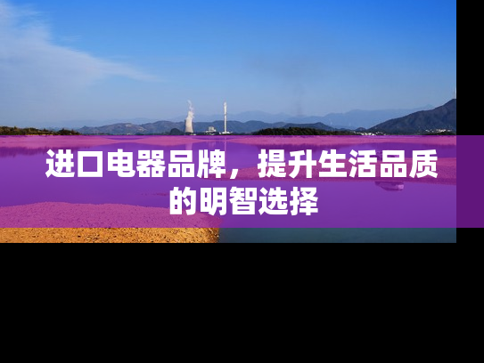 进口电器品牌，提升生活品质的明智选择