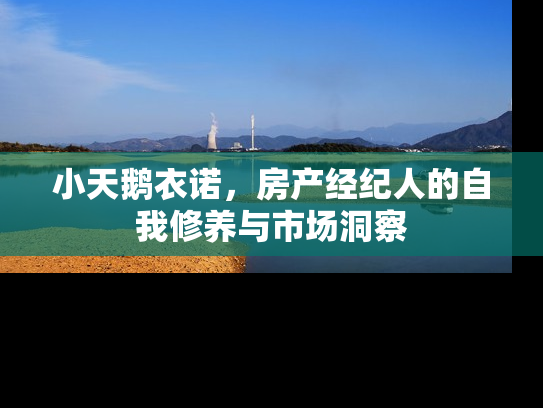 小天鹅衣诺，房产经纪人的自我修养与市场洞察