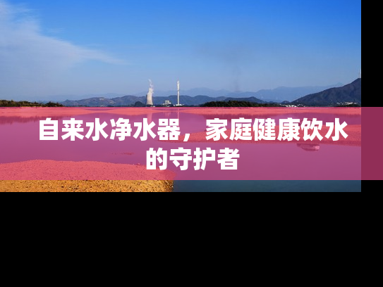 自来水净水器，家庭健康饮水的守护者