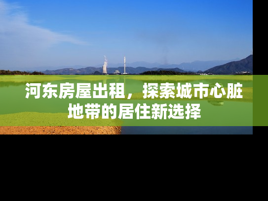 河东房屋出租，探索城市心脏地带的居住新选择