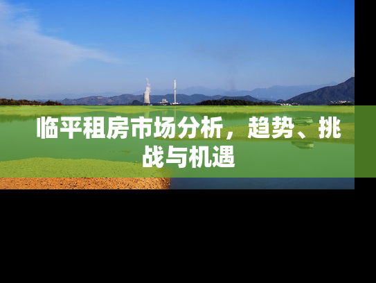 临平租房市场分析，趋势、挑战与机遇
