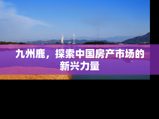 九州鹿，探索中国房产市场的新兴力量
