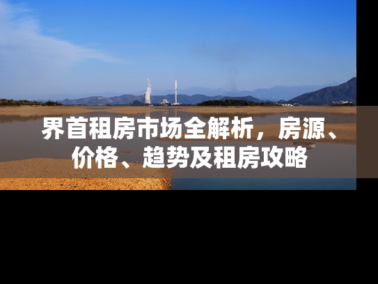 界首租房市场全解析，房源、价格、趋势及租房攻略