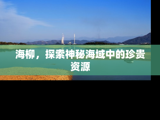 海柳，探索神秘海域中的珍贵资源