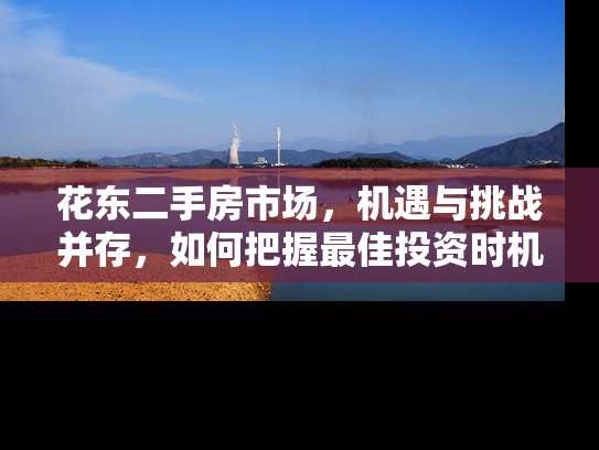 花东二手房市场，机遇与挑战并存，如何把握最佳投资时机？