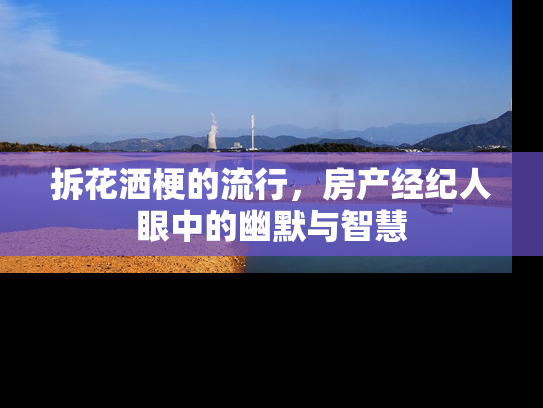 拆花洒梗的流行，房产经纪人眼中的幽默与智慧