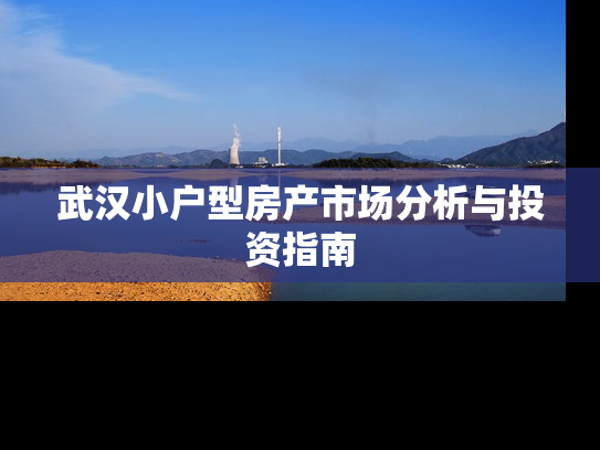 武汉小户型房产市场分析与投资指南