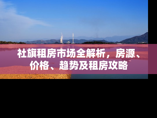 社旗租房市场全解析，房源、价格、趋势及租房攻略