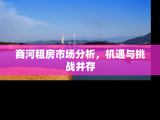 商河租房市场分析，机遇与挑战并存