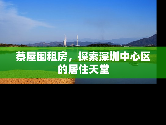 蔡屋围租房，探索深圳中心区的居住天堂