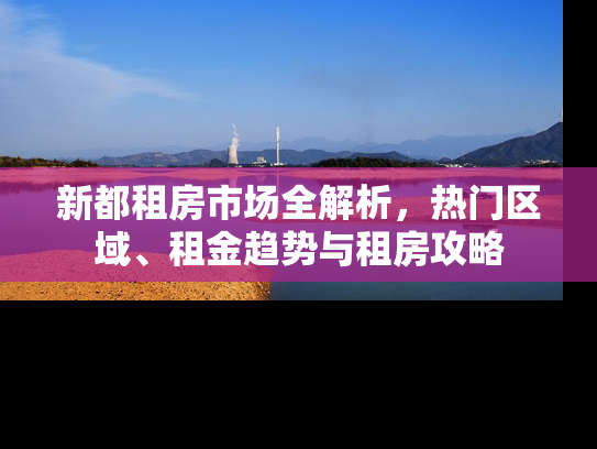 新都租房市场全解析，热门区域、租金趋势与租房攻略