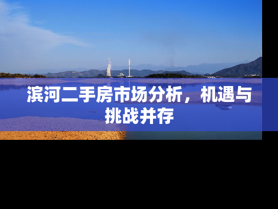 滨河二手房市场分析，机遇与挑战并存