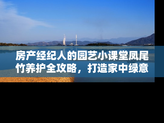 房产经纪人的园艺小课堂凤尾竹养护全攻略，打造家中绿意盎然的自然角落