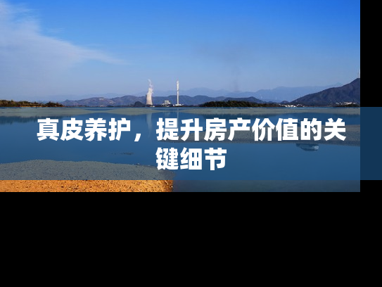 真皮养护，提升房产价值的关键细节