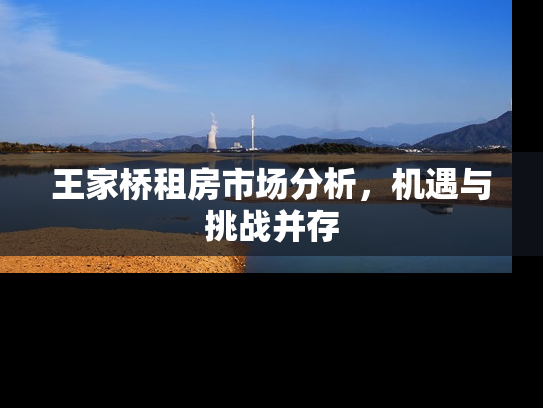 王家桥租房市场分析，机遇与挑战并存