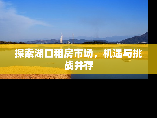 探索湖口租房市场，机遇与挑战并存
