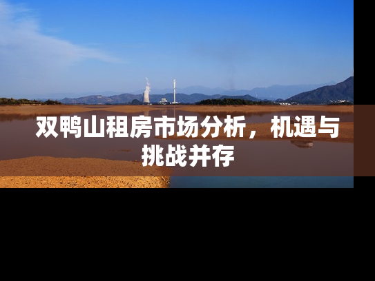 双鸭山租房市场分析，机遇与挑战并存