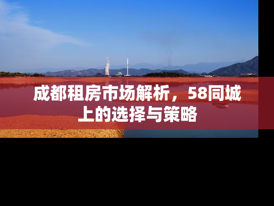 成都租房市场解析，58同城上的选择与策略