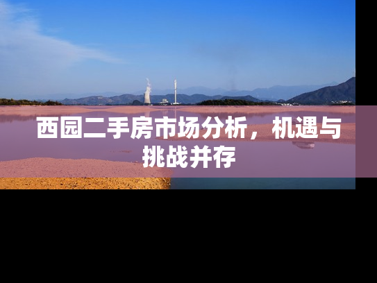 西园二手房市场分析，机遇与挑战并存