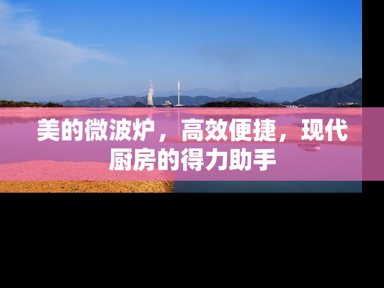 美的微波炉，高效便捷，现代厨房的得力助手