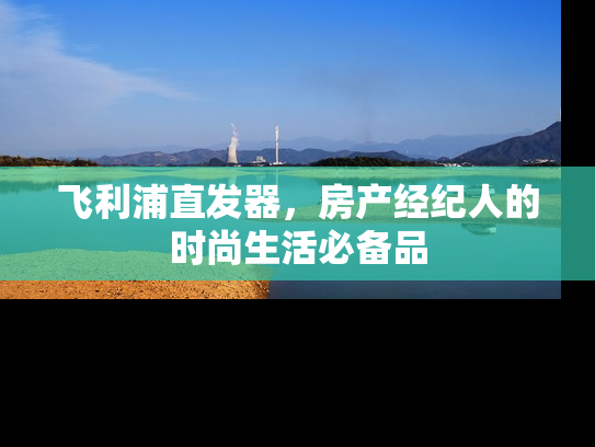 飞利浦直发器，房产经纪人的时尚生活必备品