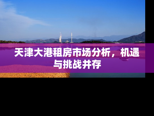 天津大港租房市场分析，机遇与挑战并存