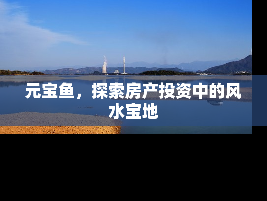 元宝鱼，探索房产投资中的风水宝地