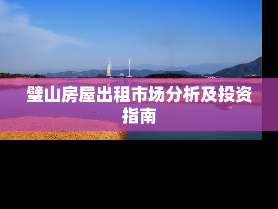 璧山房屋出租市场分析及投资指南