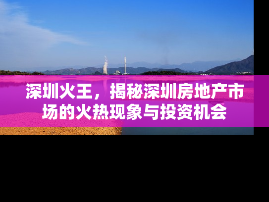 深圳火王，揭秘深圳房地产市场的火热现象与投资机会