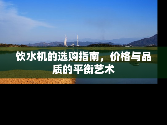 饮水机的选购指南，价格与品质的平衡艺术