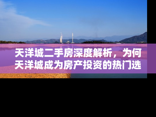 天洋城二手房深度解析，为何天洋城成为房产投资的热门选择