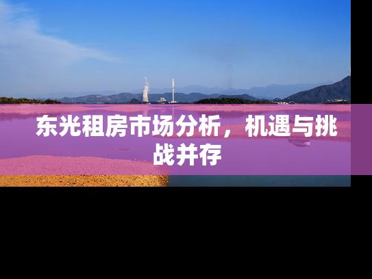 东光租房市场分析，机遇与挑战并存
