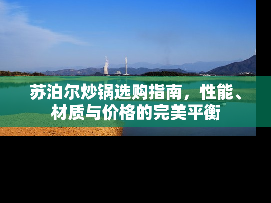 苏泊尔炒锅选购指南，性能、材质与价格的完美平衡
