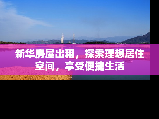 新华房屋出租，探索理想居住空间，享受便捷生活