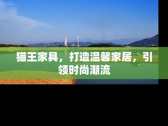 猫王家具，打造温馨家居，引领时尚潮流