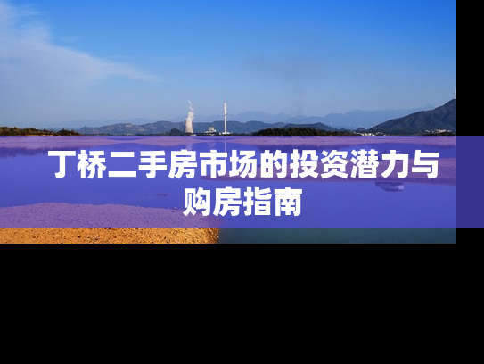 丁桥二手房市场的投资潜力与购房指南