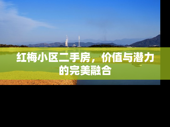 红梅小区二手房，价值与潜力的完美融合