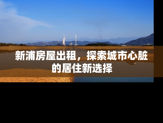 新浦房屋出租，探索城市心脏的居住新选择